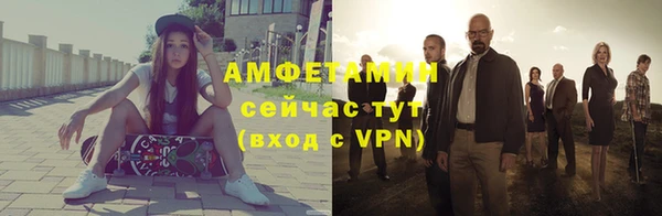 мдпв Инсар