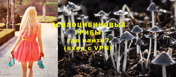 прущий лед Алексеевка