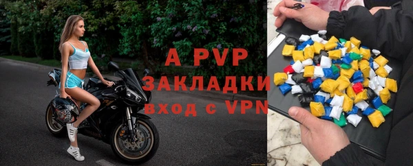стафф Алексин