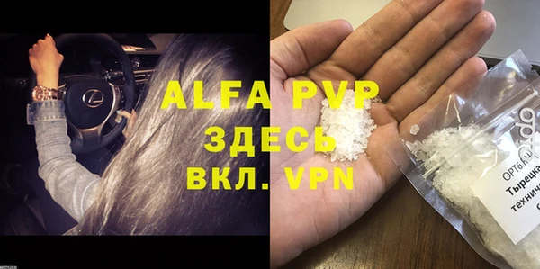 стафф Алексин