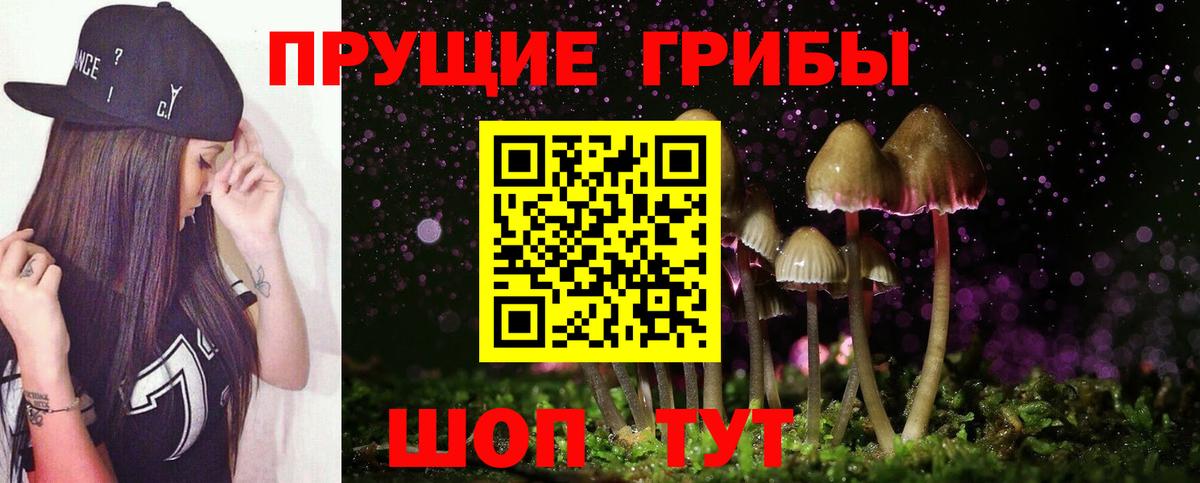 Шатура  Галлюциногенные грибы Psilocybe  Псилоцибиновые грибы ЛСД  Вход с VPN 