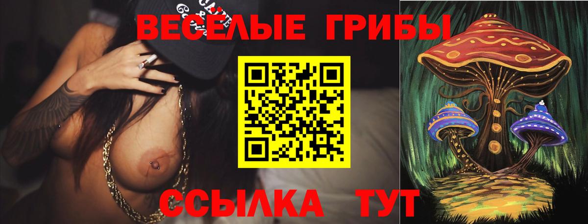 Галлюциногенные грибы мицелий Шатура