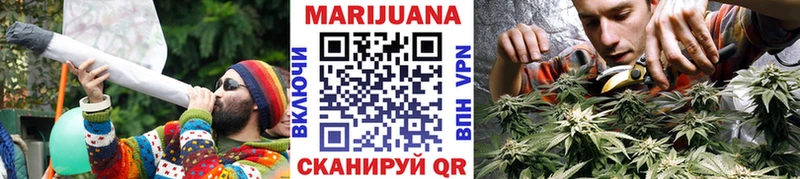 что такое   Шатура  Шишки марихуана THC 21% 